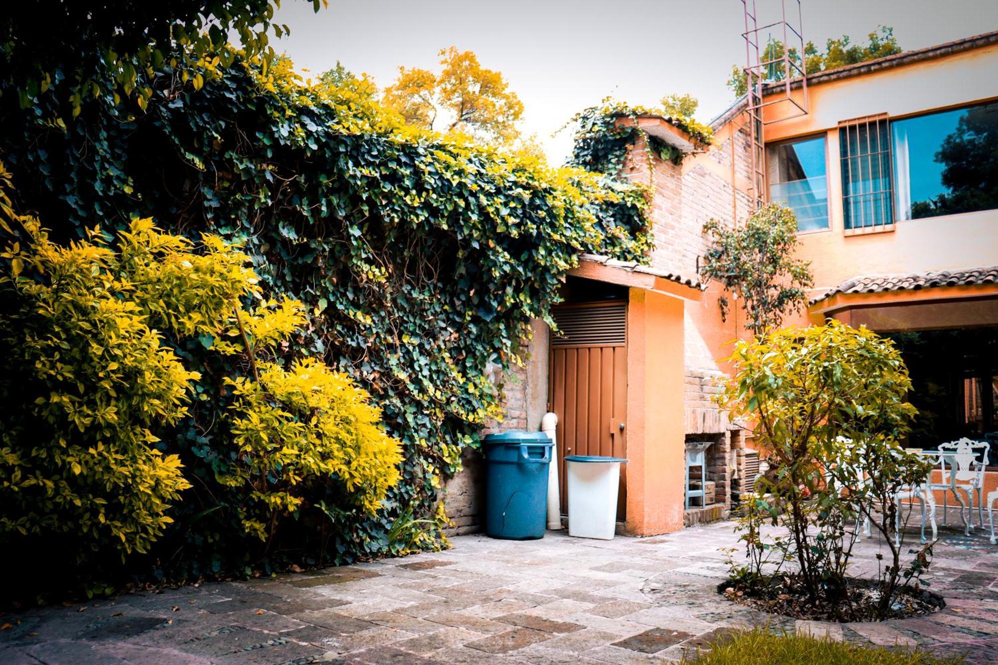 Cuija Coyoacan 2* Mexico City