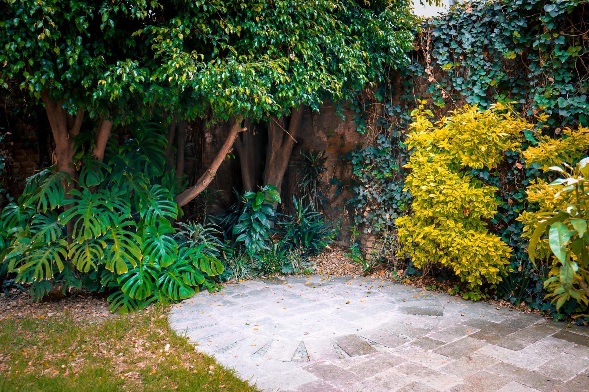 Bed & Breakfast Cuija Coyoacan 2*